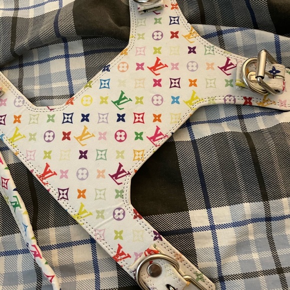 Harness and Leash Set - Picture 4 of 5